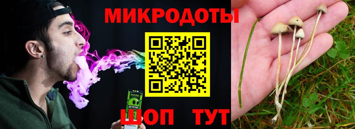 Вязьма  Галлюциногенные грибы Magic Shrooms  где продают   Вход с VPN 